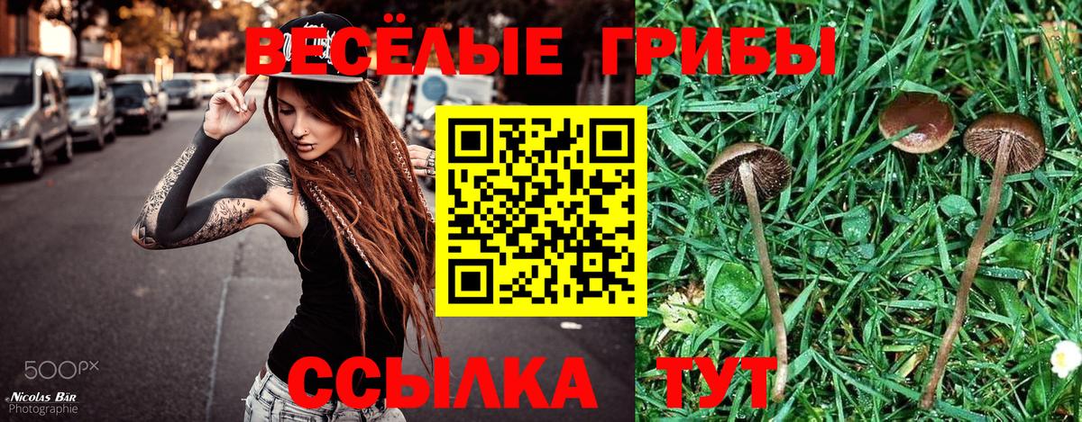 купить  сайты  Вход с VPN  Алапаевск  Псилоцибиновые грибы Psilocybe 