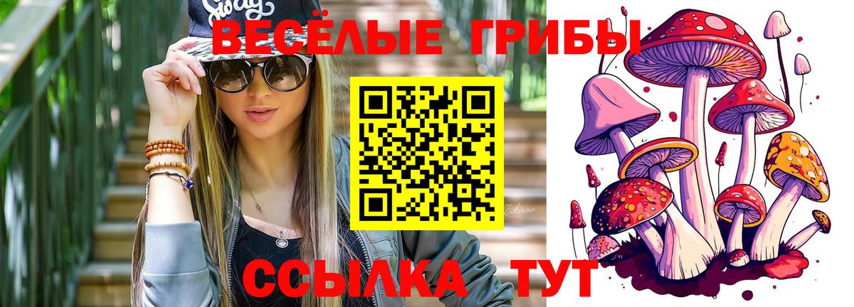 Псилоцибиновые грибы прущие грибы Алапаевск